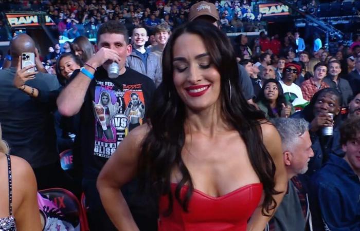 Nikki Bella: Steht eine Rückkehr zur WWE bevor?