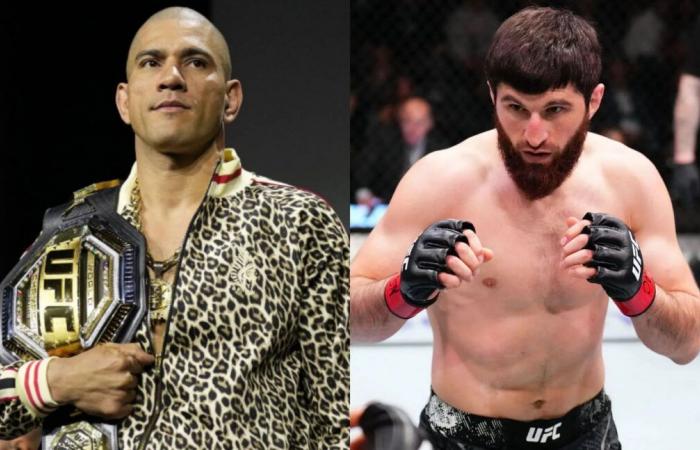 Magomed Ankalaev: EX-UFC-Star sagt voraus, dass Alex Pereias charakteristischer Streik auf UFC 313 Magomed Ankalaevs Schicksal buchstabieren könnte: “Er konnte nicht mehr laufen”