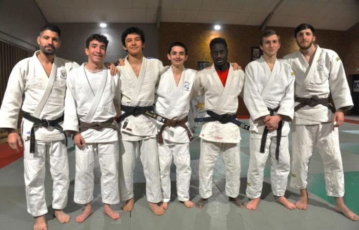 Diese jungen Judokas aus der Gironde gewinnen Abteilungsmedaillen