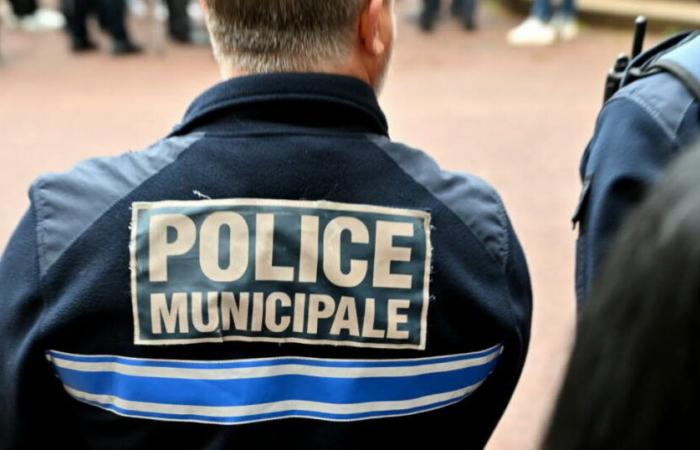 Metropole Lyon. Ein bewaffneter Mann wurde in der U-Bahn in Vaulx-en-Velin festgenommen