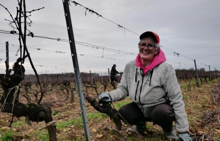 „Ich habe mich standardmäßig für den Weinberg entschieden, ich bin aus Liebe zum Beruf geblieben“, finden sie über die Arbeit im Weinberg ihren Weg zur Anstellung