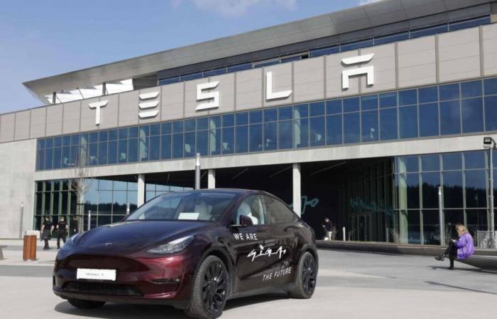 Auf Video | Musks kontroverser Gruß projizierte auf seine Tesla -Fabrik in Deutschland