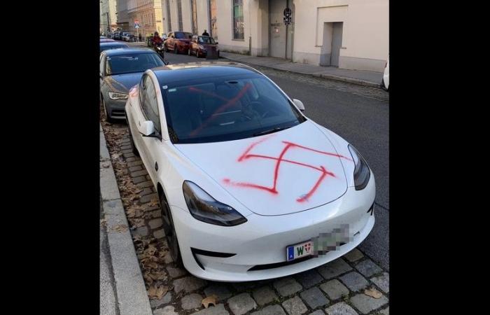 Ist Ihr Tesla wegen des Hasses gegenüber Elon Musk in Gefahr?