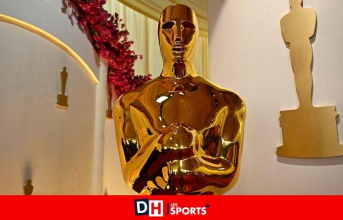 Zwei für den Oscar nominierte belgische Koproduktionen und zwei Gründe, für Donald Trump zu schwärmen