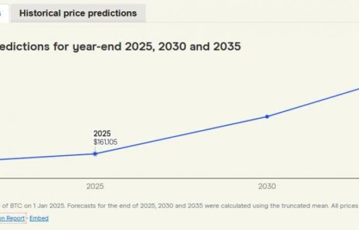 Finanzexperten prognostizieren den Preis von Bitcoin für Ende 2025