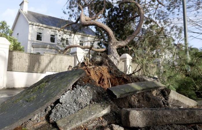 Die „zyklonische Bombe“ éowyn traf Irland und das Vereinigte Königreich, bevor er in Frankreich ankam