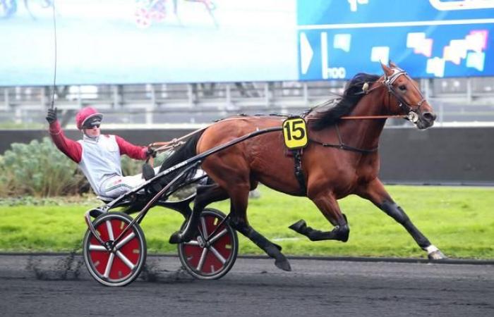 Quinté+: Ankunft und Berichte von Quinté+ am Freitag, 24. Januar in Deauville: Zvaroshka belohnt