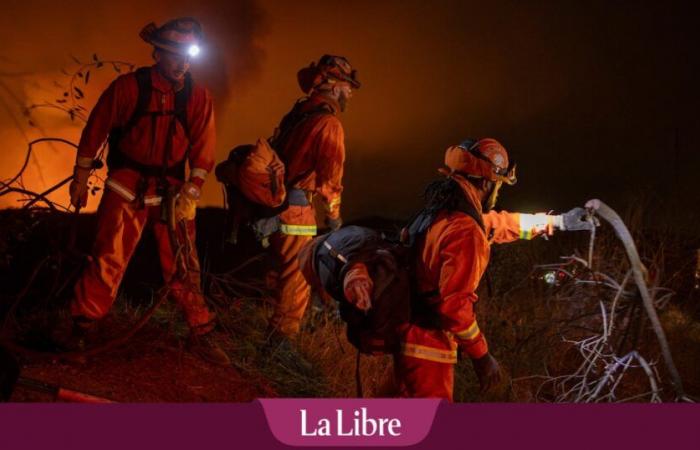 Wird Donald Trump es wagen, die Mittel für den Wiederaufbau von Los Angeles zu kürzen?