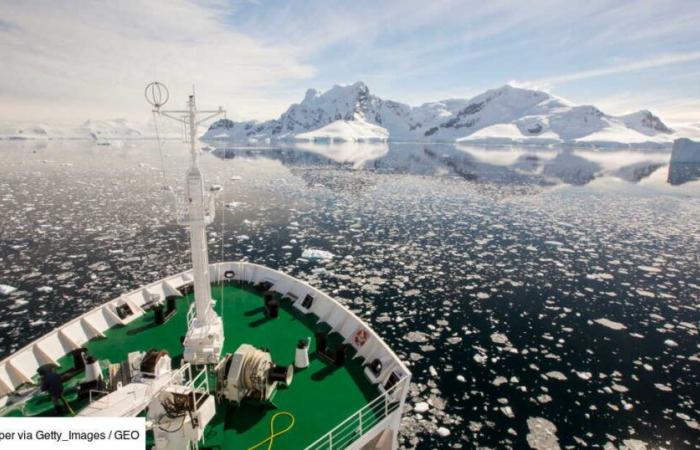 Russland und China gefährden das Überleben der Arten in der Antarktis, indem sie das entscheidende „Krill“-Abkommen untergraben