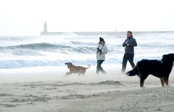 Storm Eowyn trifft Großbritannien und Irland mit Rekordwinden von 114 km / h