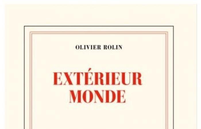 Diacritikhands in den Taschen: Olivier Rolin, sieben Städte