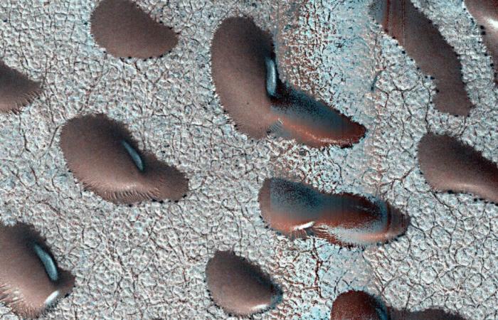 Was sind diese seltsamen Riesenbohnen, die auf dem Mars fotografiert wurden?