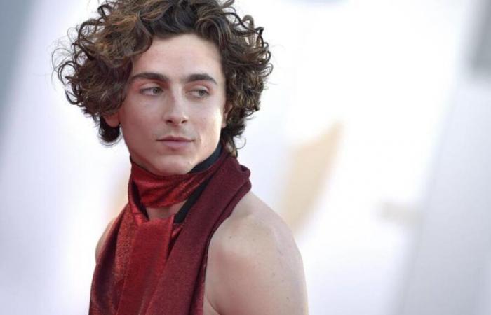 Timothée Chalamet, der Schauspieler, der die Normen der Männlichkeit durcheinander bringt