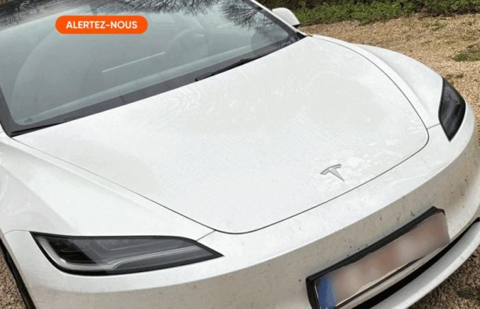 Zwei Monate nach dem Kauf seines Tesla muss Olivier ihn bereits reparieren lassen