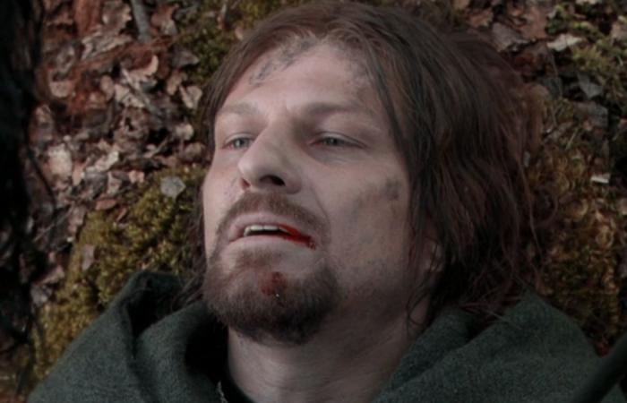 Sie retten Boromir, wenn Sie 5/5 auf diesem Quiz auf Frodo erhalten