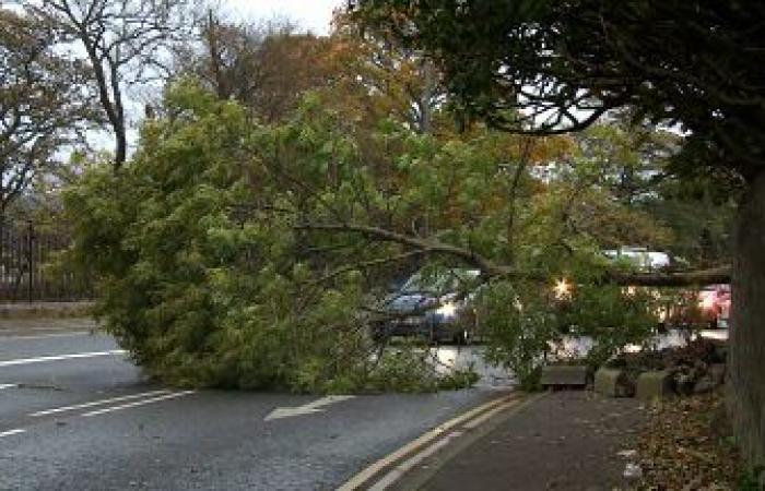 Supermärkte in ganz Schottland geschlossen inmitten von Storm Eowyn Red Alert – Vollständige Liste