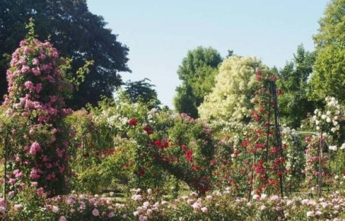 Île-de-france hebt seine 45 bemerkenswerten Gärten hervor