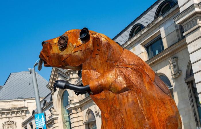 Die monumentalen Kalbut -Tierskulpturen werden sich dauerhaft niederlassen