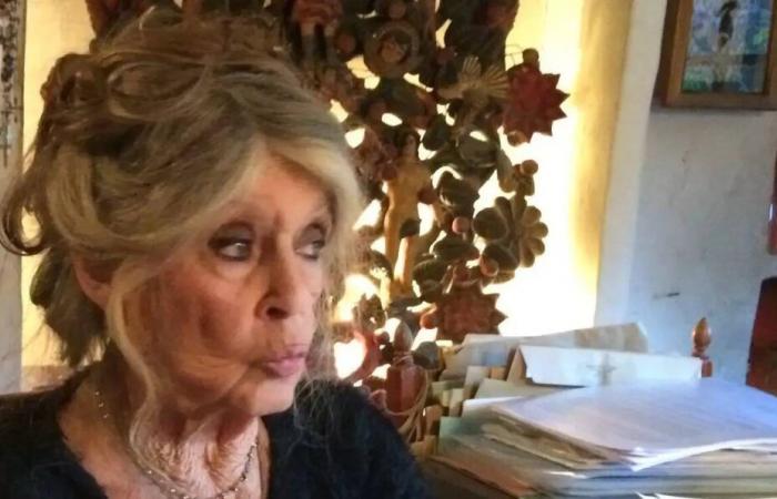 Brigitte Bardot treibt die Angriffe gegen ihre Stiftung vor