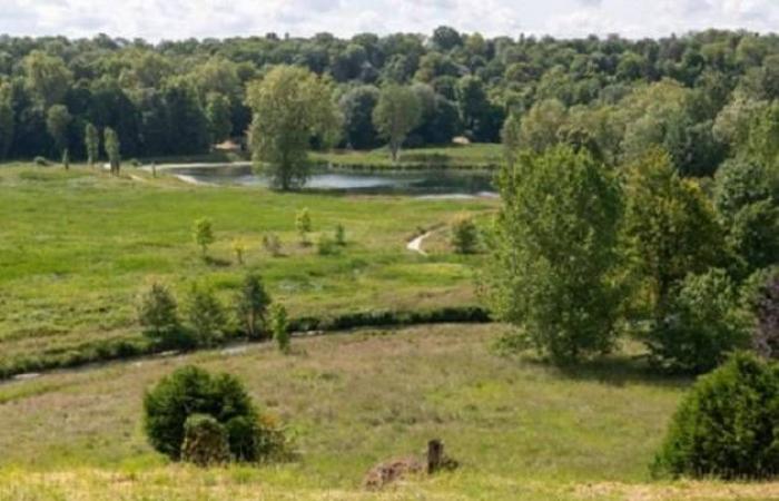 Île-de-france hebt seine 45 bemerkenswerten Gärten hervor