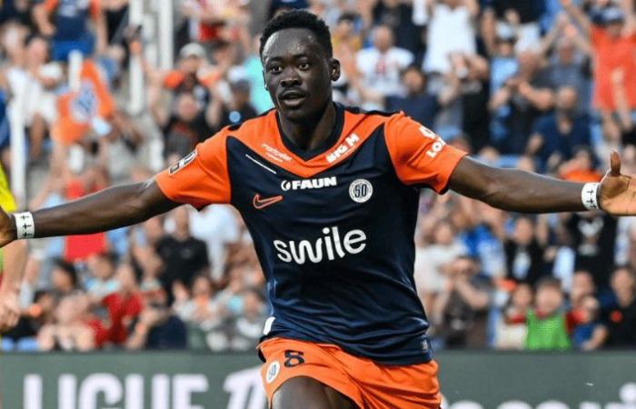 Akor Adams verlässt Montpellier in Richtung Sevilla, Andy Delort soll ihn ersetzen – LesViolets.Com