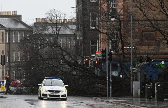 Irland und das Vereinigte Königreich trafen im Sturm éowyn hart