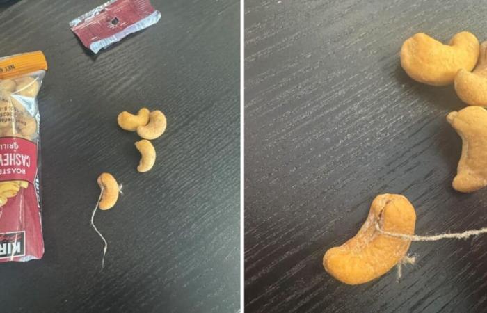 Kanadier fand ein Stück Seil in seiner Cashewnuss