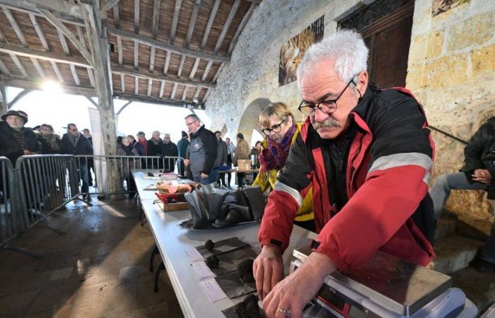 “Oh, schieben Sie nicht so, es ist auch kein Gold!” Schillerner Erfolg für den ersten Trüffelmarkt in den Gers