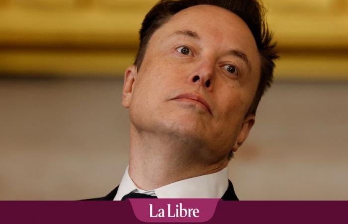 Elon Musks Bruder trifft Giorgia Meloni in Italien