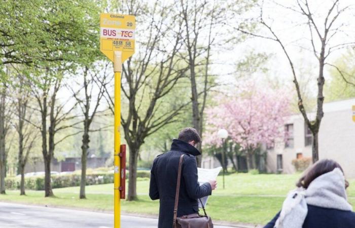 Erweiterung der Störungen im TEC -Netzwerk am 25. und 26. Januar 2025