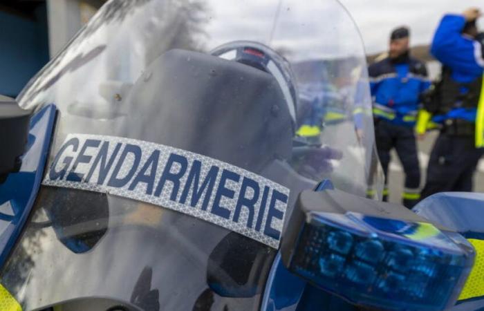 79 Gendarmen mobilisiert über drei Tage