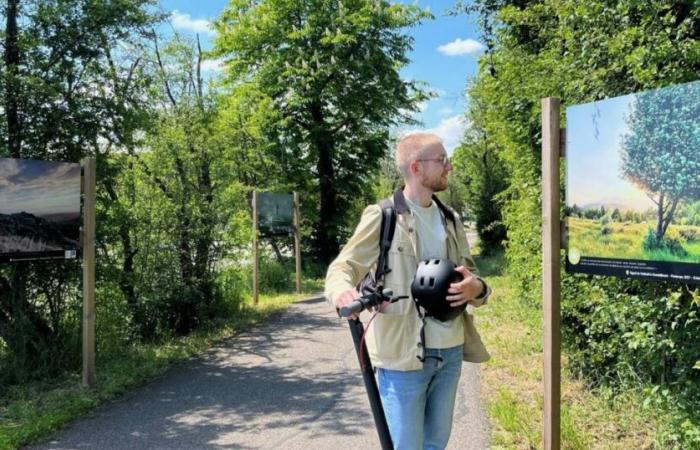 Rosheimer Türen. Aufruf zu Fotos für eine neue Mitmach-Ausstellung