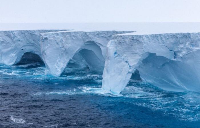 Ein XXL-Eisberg steuert direkt auf eine Insel zu und bedroht Pinguine und Seelöwen