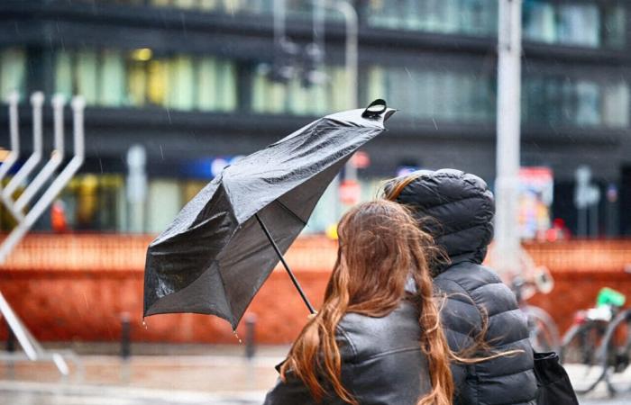 Eowyn-Sturm, Vergewaltigung eines Teenagers, Wachsamkeit auf der A13 … Die Info am Mittag in der Île-de-France