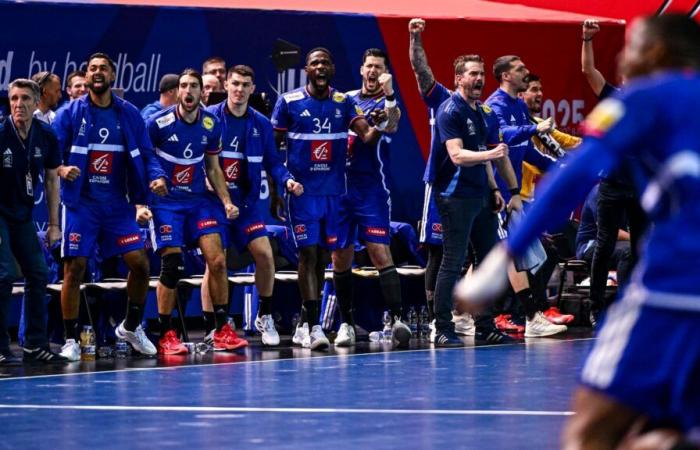 Zu welcher Zeit und auf welchem ​​TV -Kanal, um das Handball -Weltcup -Match zu sehen?