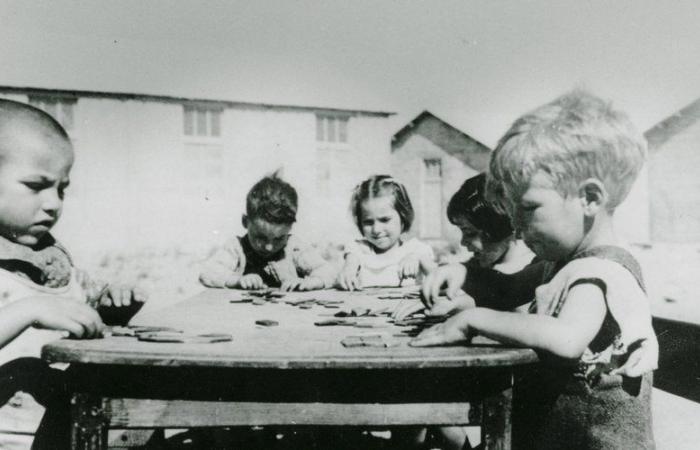 80 Jahre Befreiung von Auschwitz – Welche Rolle spielte das Lager Rivesaltes bei der Deportation der Juden?