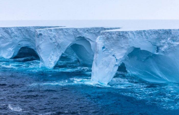 Das größte Eisberg der Welt bedroht Pinguine und Seelöwen