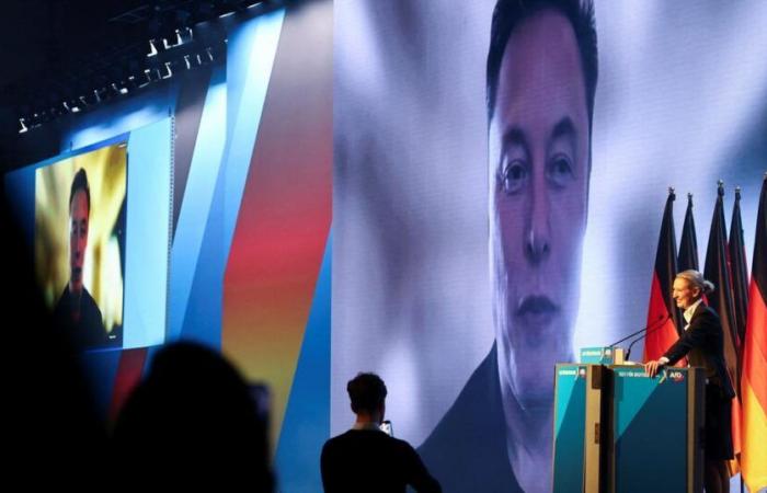 Elon Musk greift in einem Meeting über ein Video ein, um AFD zu unterstützen