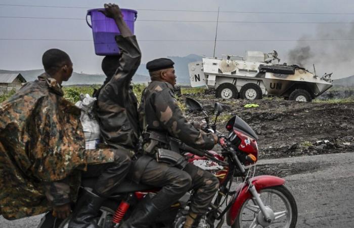 Cleaks wurden bei Zusammenstößen mit Rebellen in der DR Kongo getötet