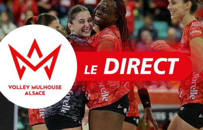 Volleyball. Verfolgen Sie das Spiel zwischen dem Volley Mulhouse Alsace und Paris-Levallois ab 20:30 Uhr live