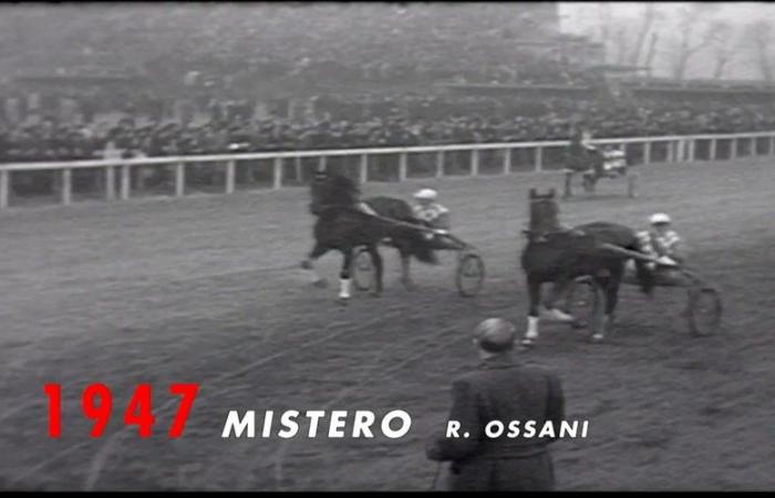 Als der Trotter „Sky du Padoueng“ fast den Prix d’Amérique gewann