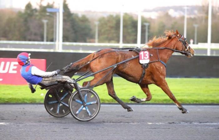 Das Quinté+ Prix d’Amérique Legend Race am Sonntag, den 26. Januar, wie aus der Statistik hervorgeht