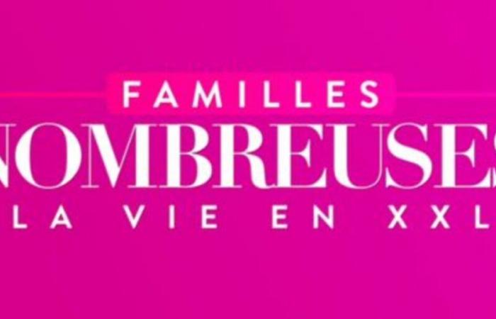 Große Familien sind endlich wieder auf TF1, diesen neuen Stämmen, die dem Programm beitreten