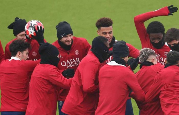 Kvaratskhelia trifft in der PSG-Gruppe auf Reims