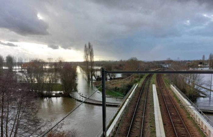 Orange Wachsamkeit, Kameras in Caen, Tabakverkehr … Die 5 Informationen am Freitag, 24. Januar in Caen