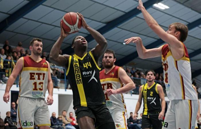 Tursan Basket Chalosse und das Montois -Stadion haben ein Ticket für die Hälfte der Landes Cup