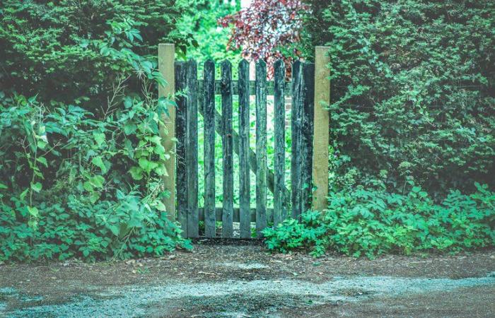 Ein vermisstes Paar fand tot in einem Garten, die Mutter des Hauptverdächtigen ruft die Polizei an