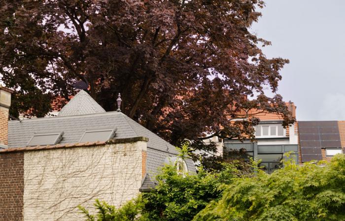 In Brüssel, ein Hotel im Federgewicht mit seinem Garten