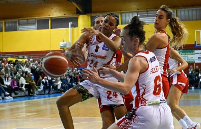 Der Basketball -Punsch meidet knapp die Dijon -Falle