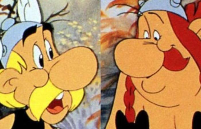 Asterix, Obelix oder beides?